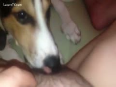 Licking certain pubic areas